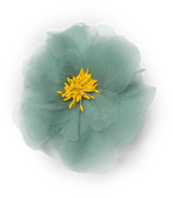 DANI BARRETTE -- TEAL ORGANZA